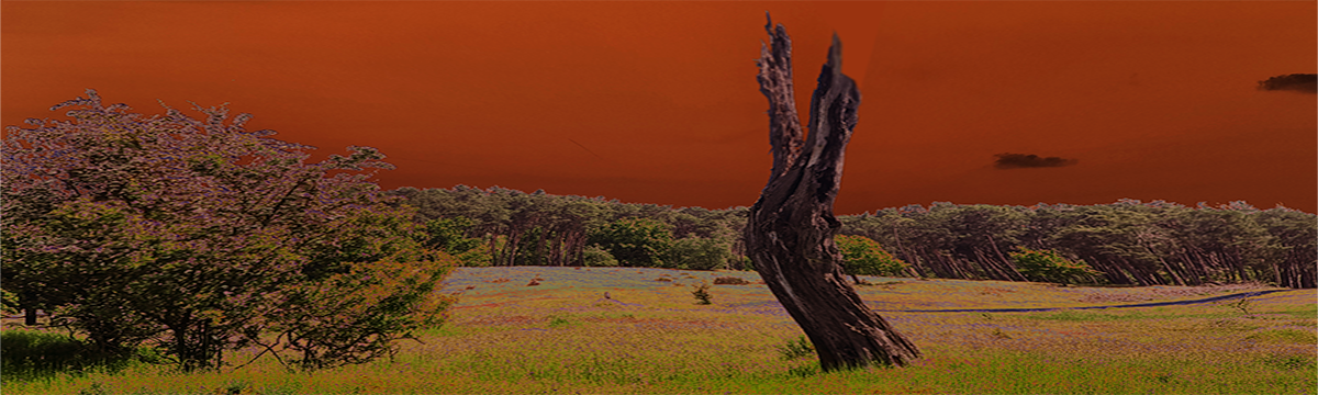 klaus-ullmann-de-psycho-kontext-klimawandel